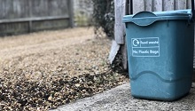 compost bin in yard