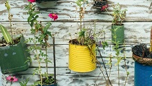 plants in tins hanging on a wall